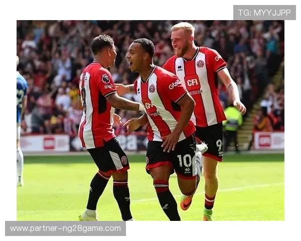 谢菲尔德联俱乐部百年沉浮与英超征程全景解析历史传承与未来展望